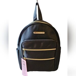 Stone Mountain Double Zip Dome Mini Backpack